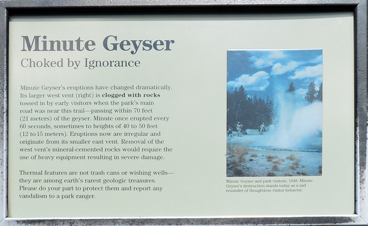 2015-07-26, 115, Yellowstone NP, WY, Minute Geyser