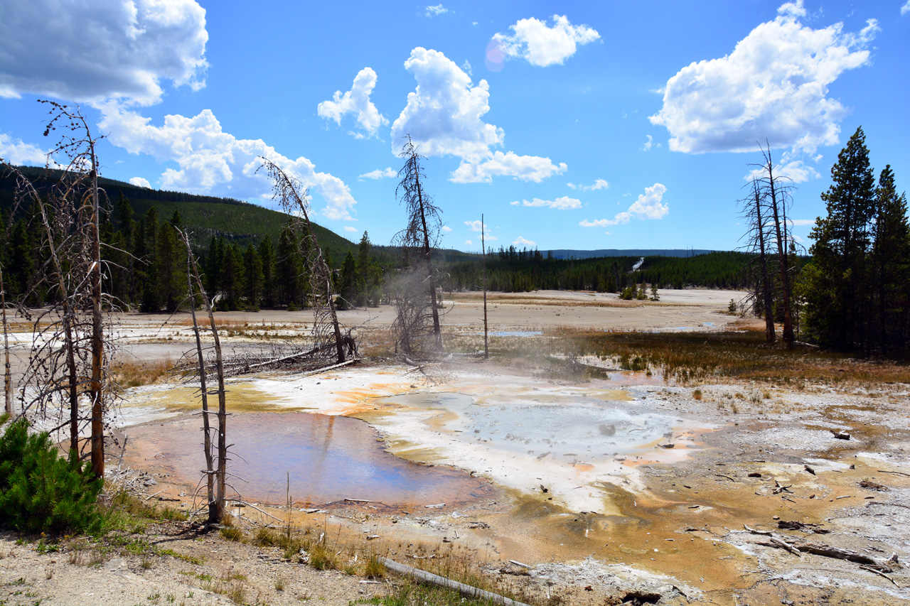 2015-07-26, 117, Yellowstone NP, WY, Minute Geyser