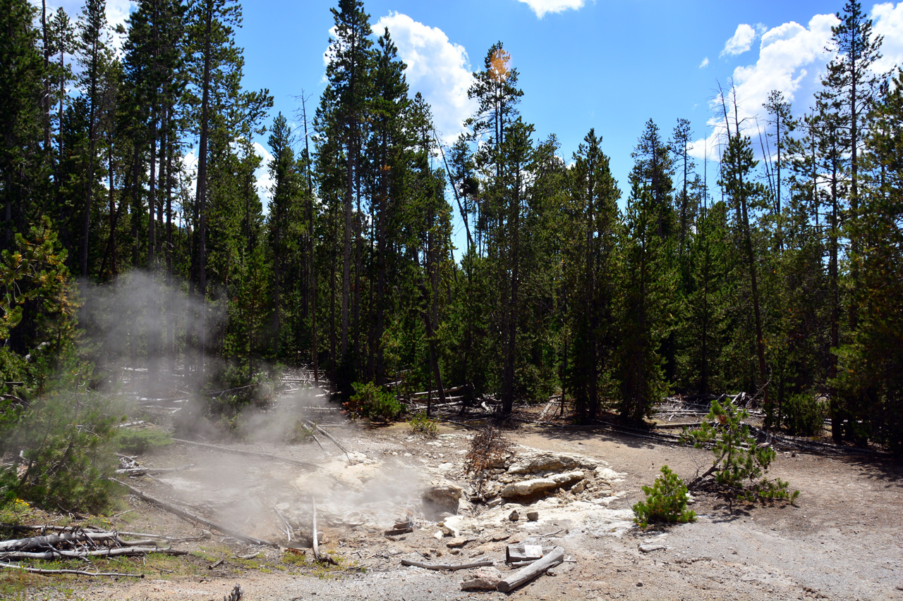 2015-07-26, 118, Yellowstone NP, WY, Norris Geyser Basin