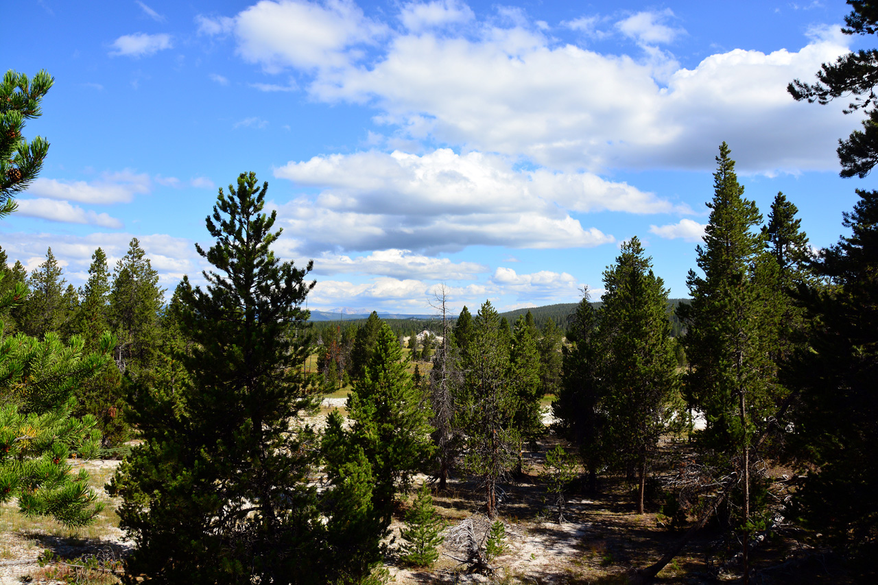 2015-07-27, 003, Yellowstone NP, WY, Firehole Lake Drive
