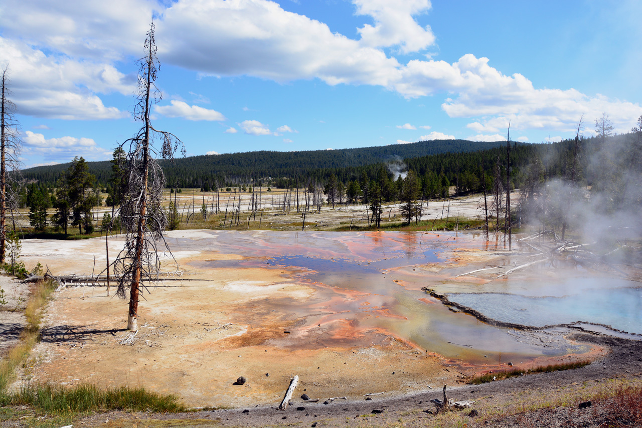 2015-07-27, 005, Yellowstone NP, WY, Firehole Springs