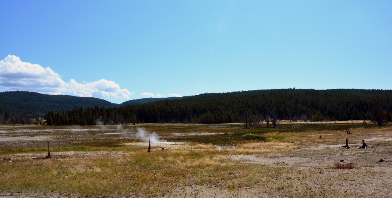 2015-07-27, 012, Yellowstone NP, WY, Firehole Lake Drive
