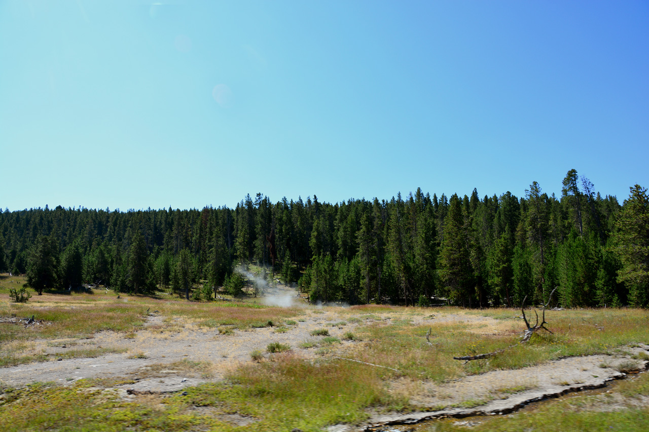 2015-07-27, 014, Yellowstone NP, WY, Firehole Lake Drive