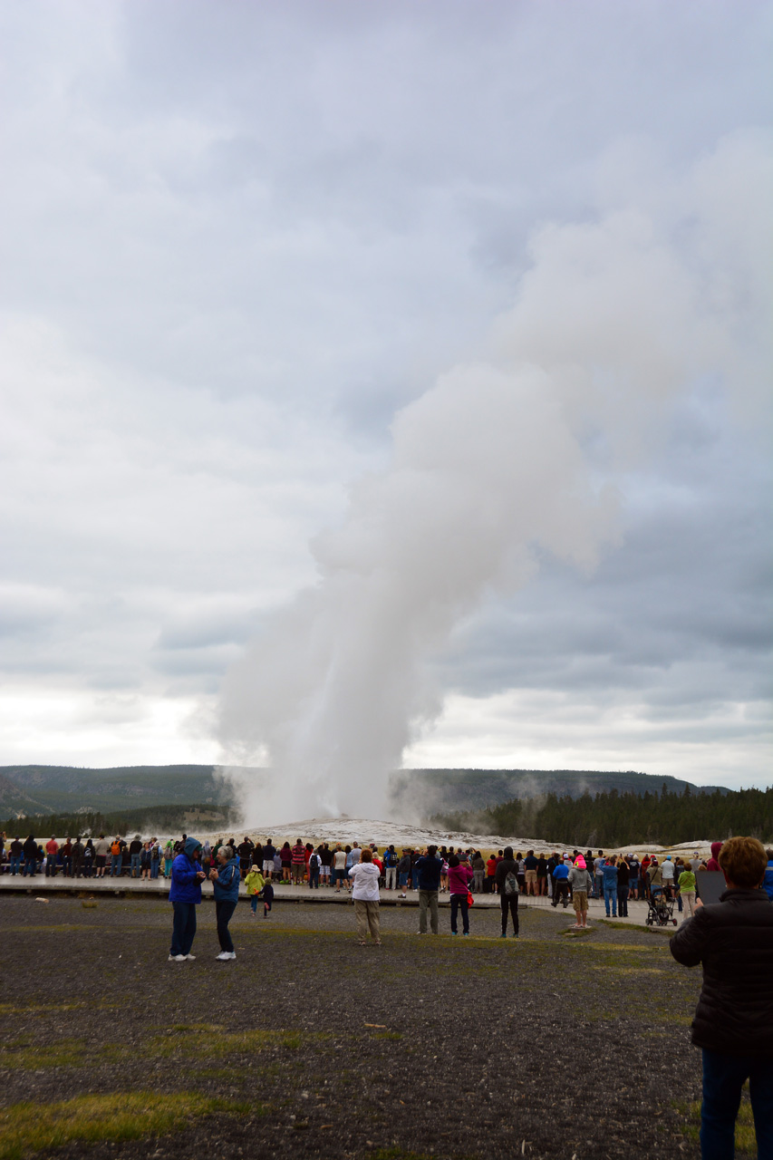 2015-07-27, 054, Yellowstone NP, WY, Old Faithful. Geyser