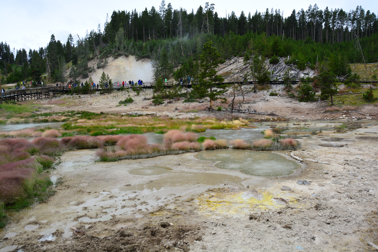 2015-07-27, 061, Yellowstone NP, WY, Mud Volcano Area