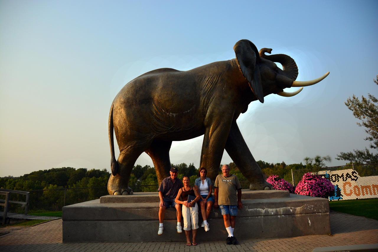 2015-08-31, 003, Jumbo the Elephant
