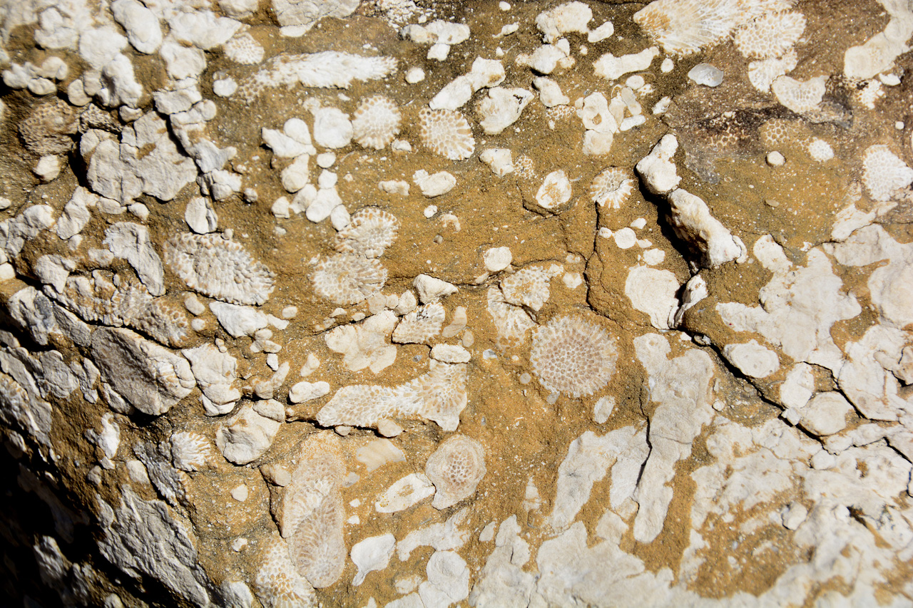 2015-09-09, 004, Devonian Fossil Gorge, Coralville, IA