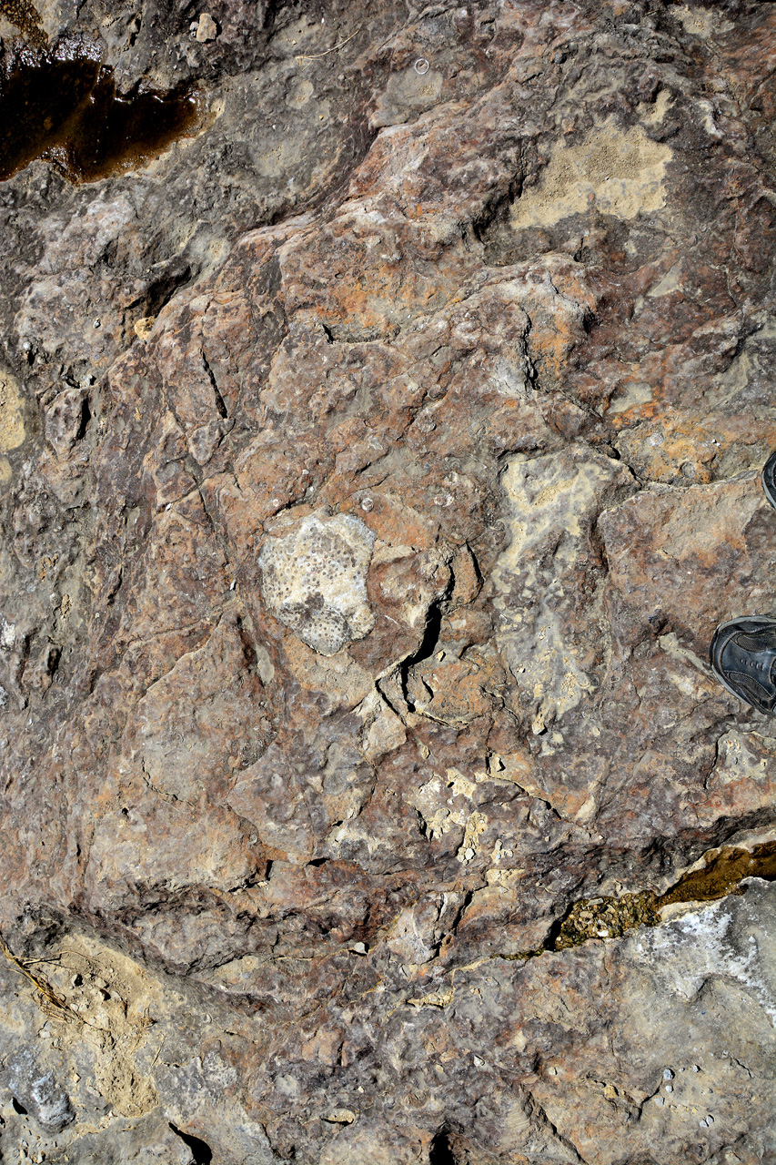 2015-09-09, 008, Devonian Fossil Gorge, Coralville, IA