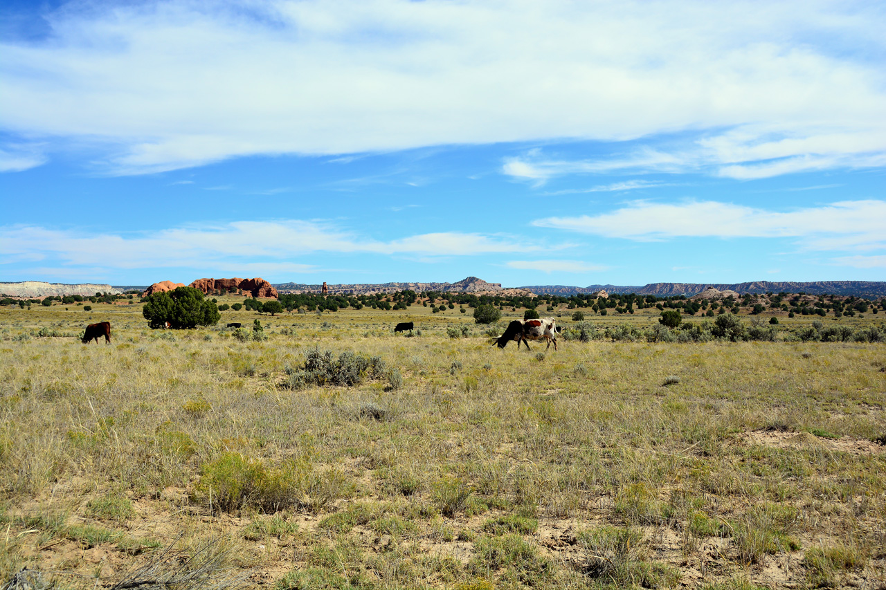 2015-09-27, 003, Kodachrome Basin SP, Utah