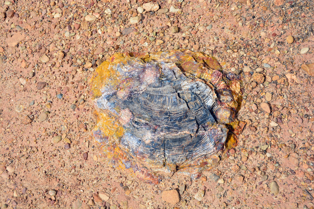 2015-09-30, 041, Escalante SP, UT, Trail of Sleeping Rainbows