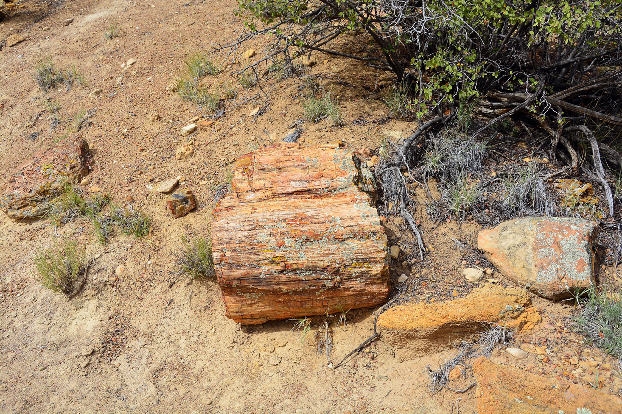 2015-09-30, 042, Escalante SP, UT, Trail of Sleeping Rainbows