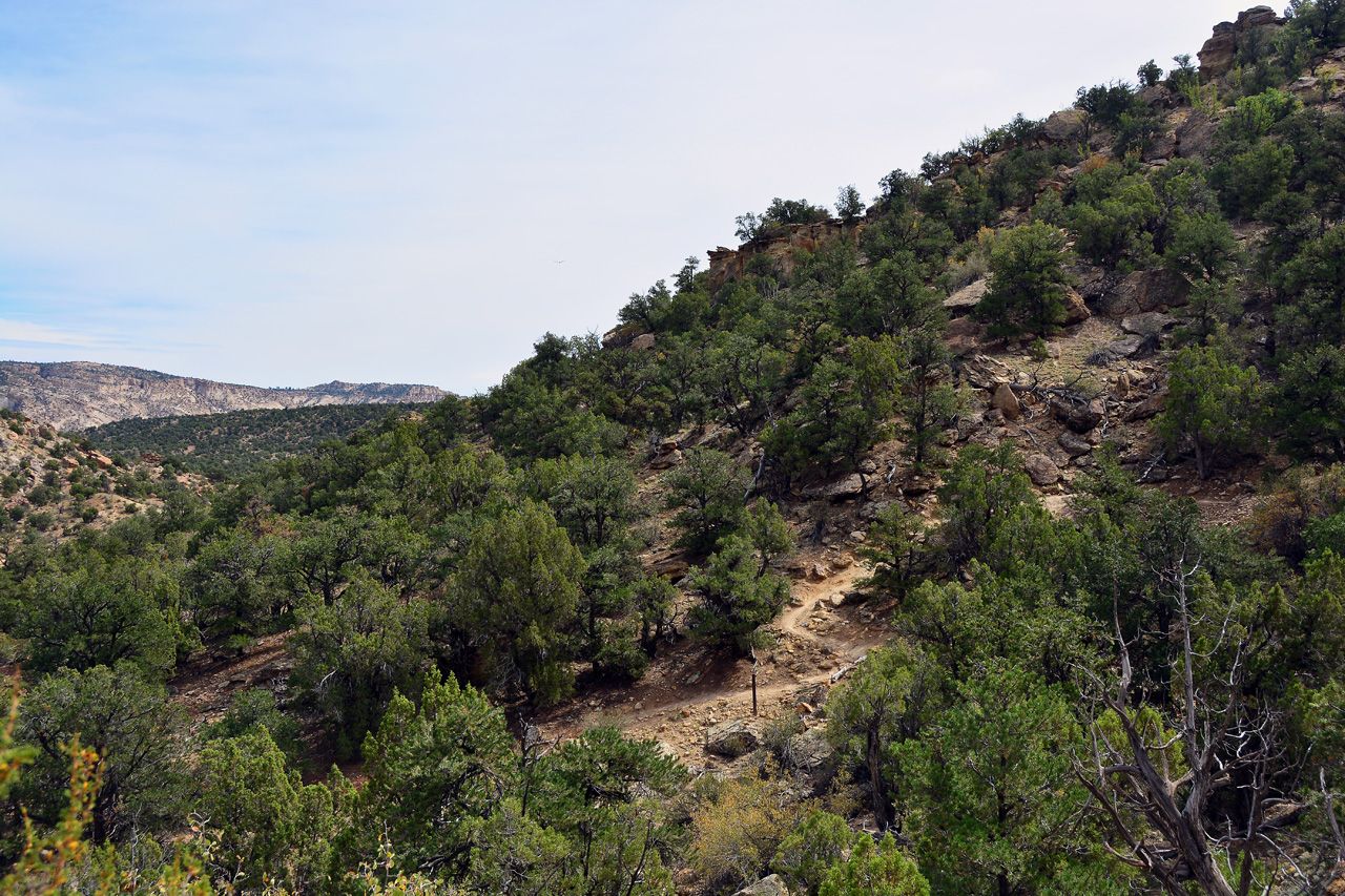 2015-09-30, 043, Escalante SP, UT, Trail of Sleeping Rainbows