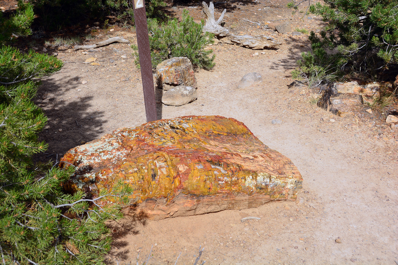 2015-09-30, 056, Escalante SP, UT, Petrified Forest Trail