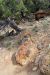 2015-09-30, 036, Escalante SP, UT, Trail of Sleeping Rainbows