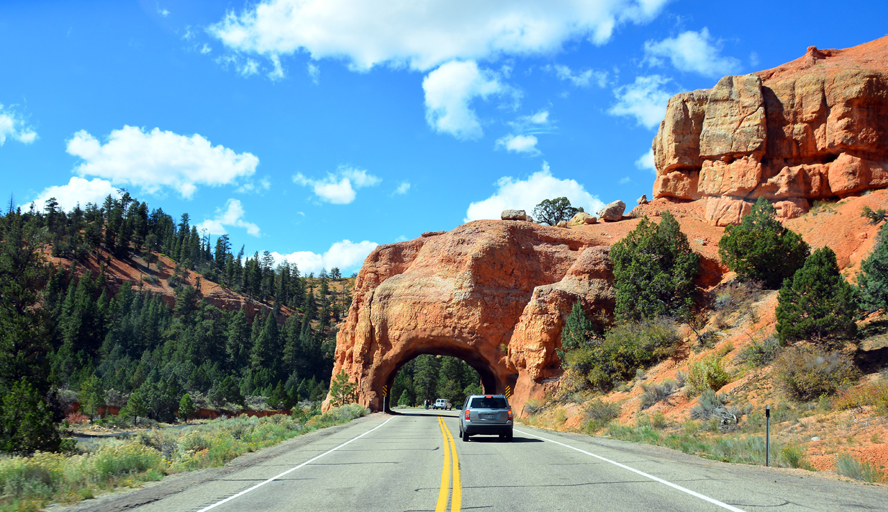 2015-10-04, 001, Cedar Breaks NM, UT, Along Rt 12