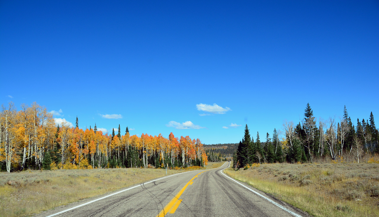 2015-10-04, 040, Cedar Breaks NM, UT, Along Rt 143