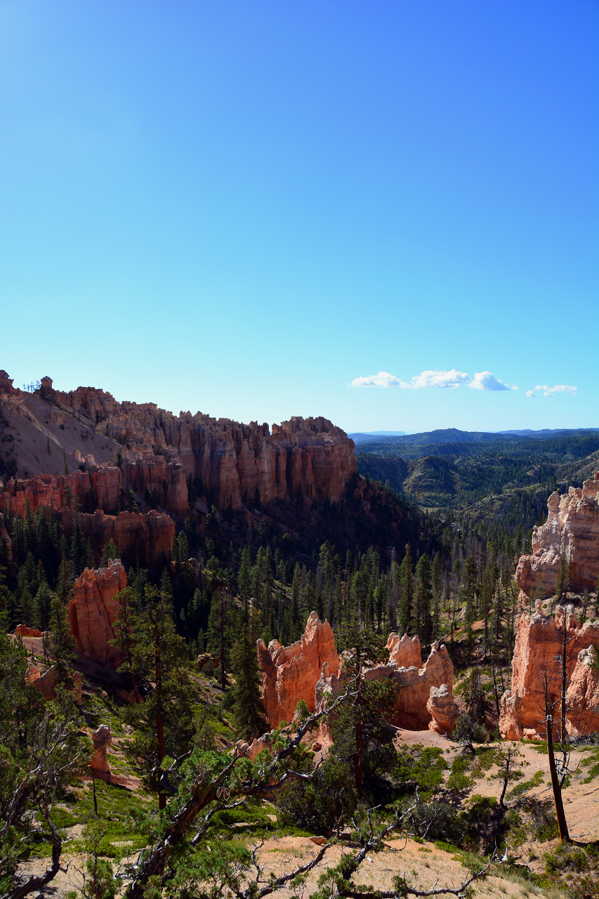 2015-10-02, 003, Bryce Canyon NP, UT, Swamp Canyon