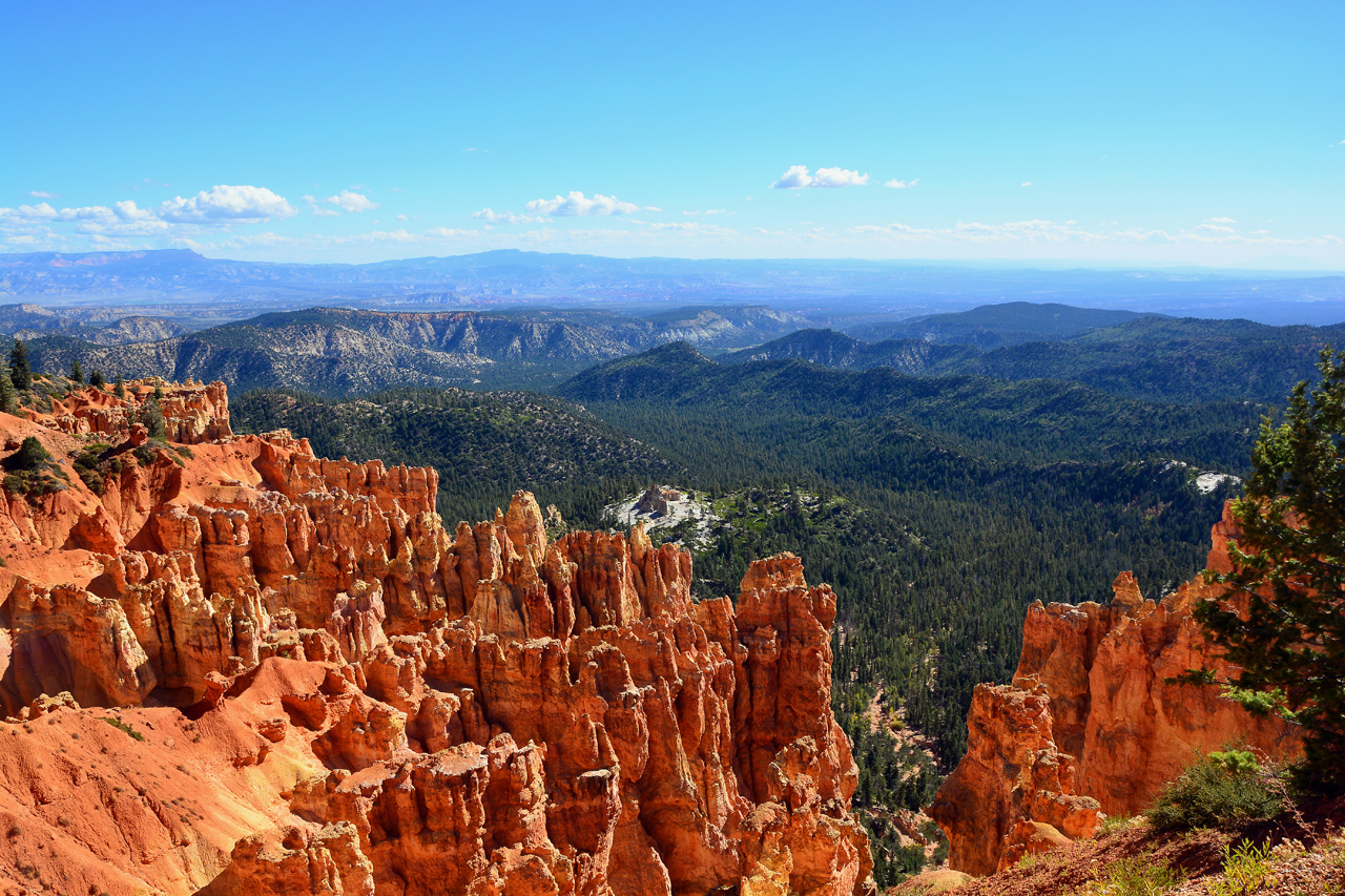 2015-10-02, 020, Bryce Canyon NP, UT, Ponderosa Ptr