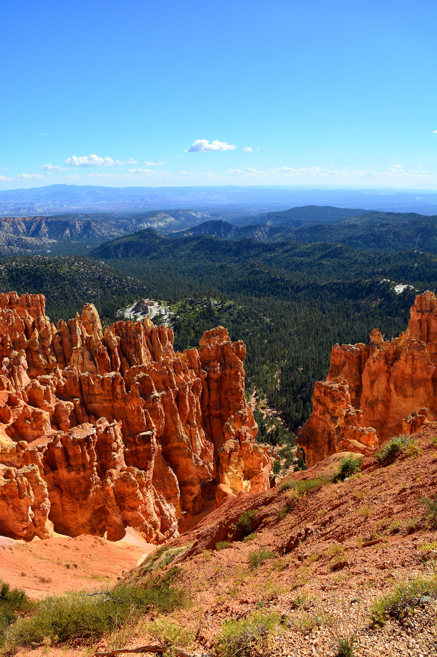 2015-10-02, 023, Bryce Canyon NP, UT, Ponderosa Ptr