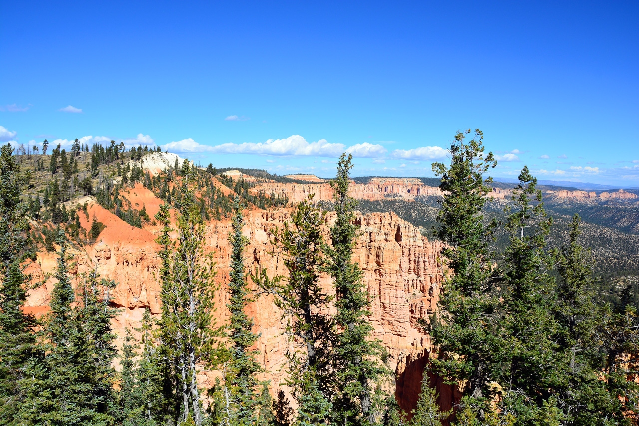 2015-10-02, 026, Bryce Canyon NP, UT, Ponderosa Ptr