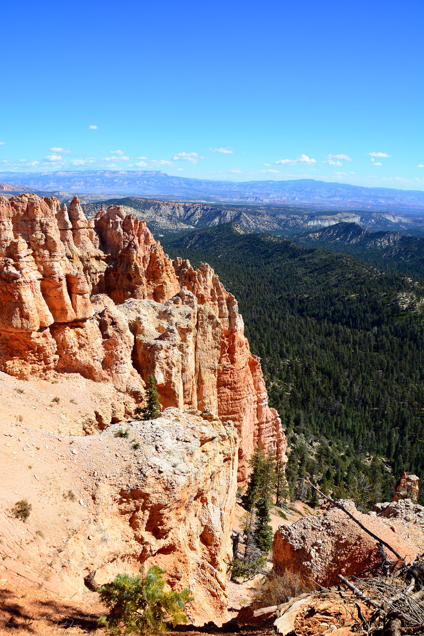 2015-10-02, 030, Bryce Canyon NP, UT, Black Birch