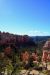 2015-10-02, 003, Bryce Canyon NP, UT, Swamp Canyon