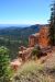 2015-10-02, 033, Bryce Canyon NP, UT, Black Birch