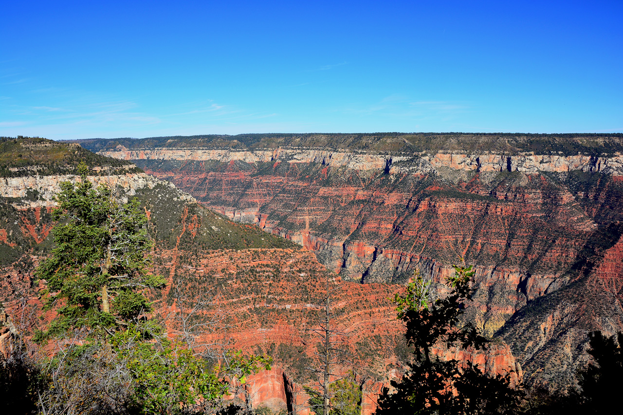 2015-10-09, 008, Grand Canyon NP, North Rim, Bright Angel Pt