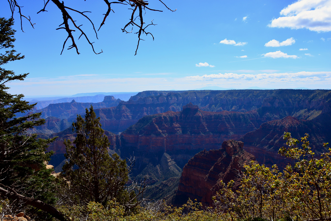 2015-10-10, 026, Grand Canyon NP, North Rim, Point Imperial