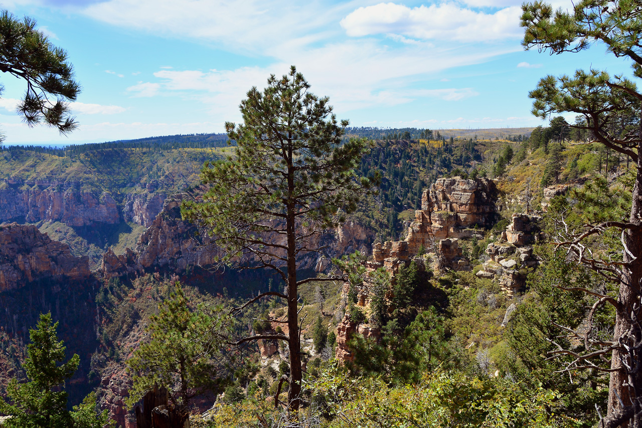 2015-10-10, 028, Grand Canyon NP, North Rim, Point Imperial
