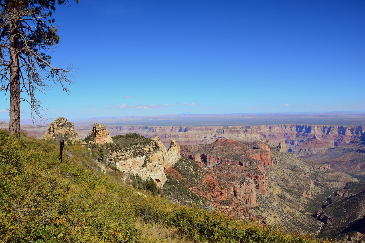 2015-10-10, 036, Grand Canyon NP, North Rim, Roosevelt Point