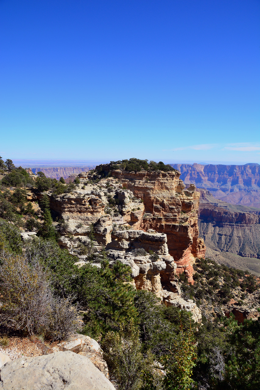2015-10-10, 042, Grand Canyon NP, North Rim, Roosevelt Point