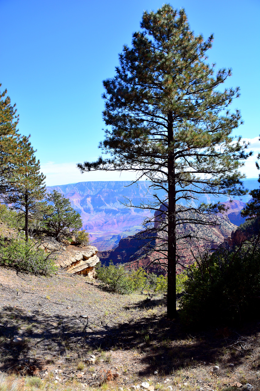 2015-10-10, 044, Grand Canyon NP, North Rim, Angels Window
