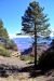 2015-10-10, 044, Grand Canyon NP, North Rim, Angels Window