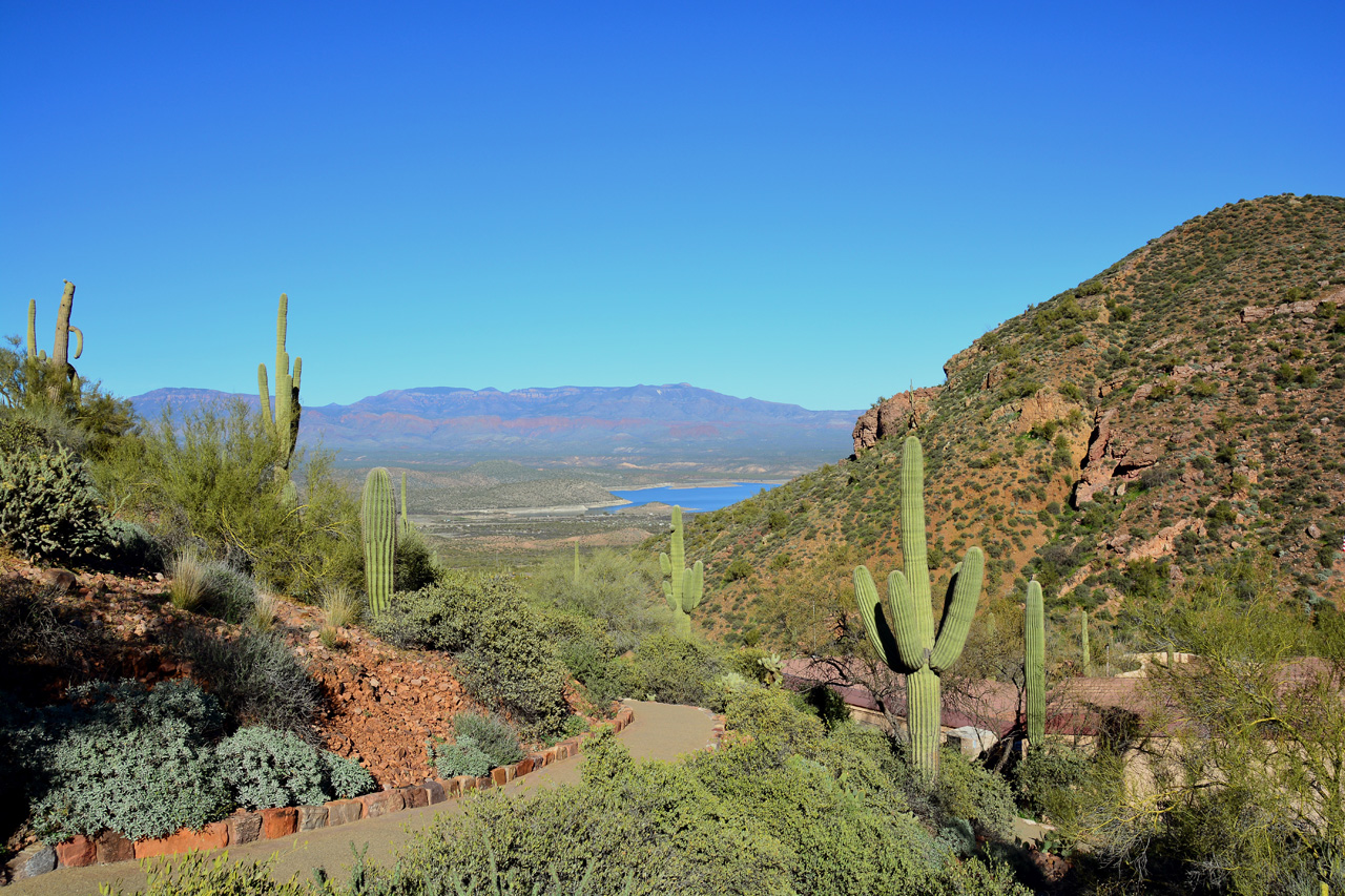 2016-02-17, 004, Tonto NM, AZ