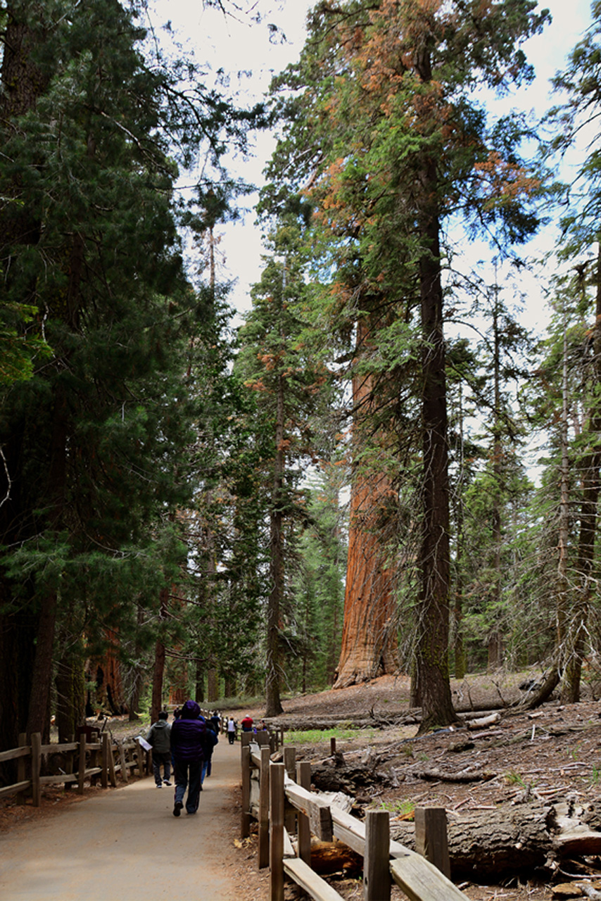 2016-05-24, 023, Kings Canyon National Park, CA