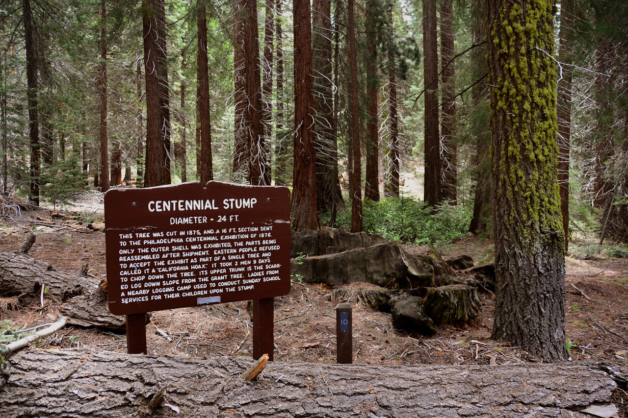 2016-05-24, 026, Kings Canyon National Park, CA