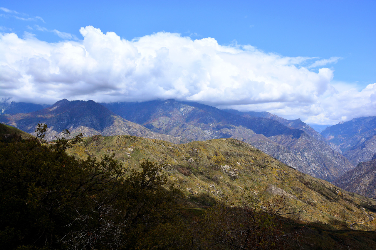 2016-05-24, 051, Kings Canyon National Park, CA