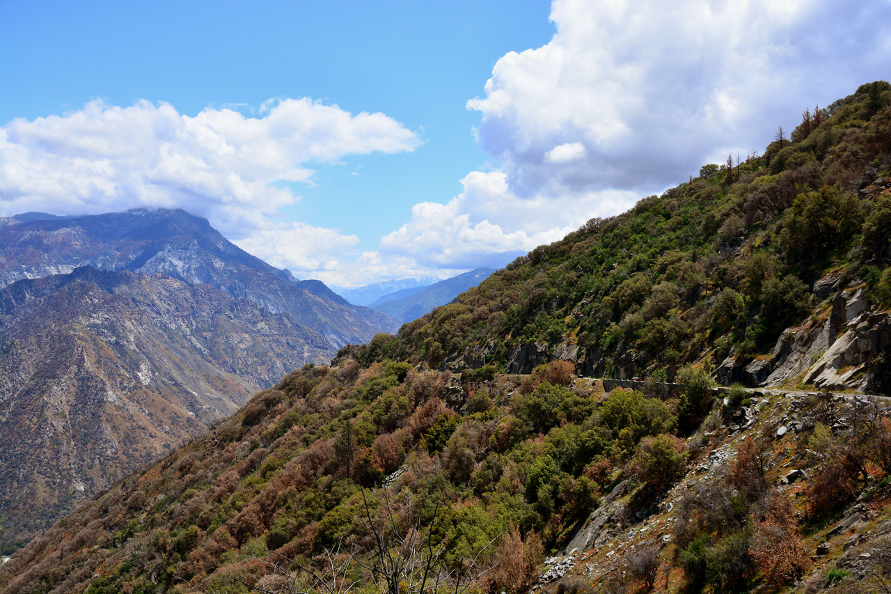 2016-05-24, 057, Kings Canyon National Park, CA