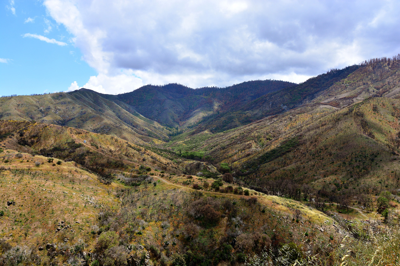 2016-05-24, 069, Kings Canyon National Park, CA