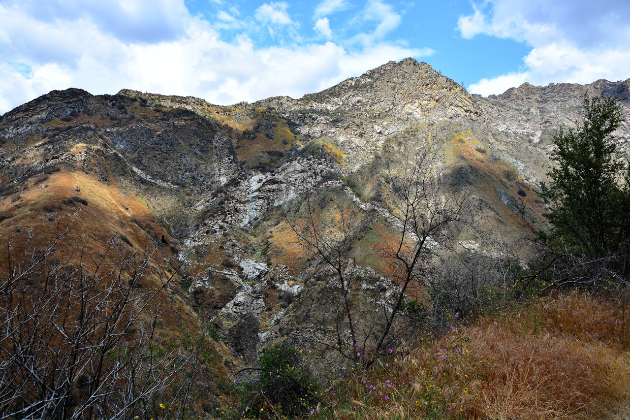 2016-05-24, 104, Kings Canyon National Park, CA