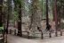 2016-05-24, 009, Kings Canyon National Park, CA