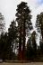 2016-05-24, 042, Kings Canyon National Park, CA