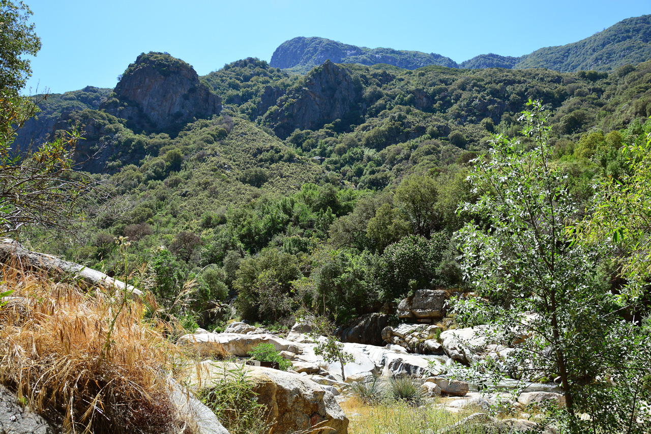 2016-05-19, 004, Ride along Rt 190 & Mtn 50 Sequoia NF