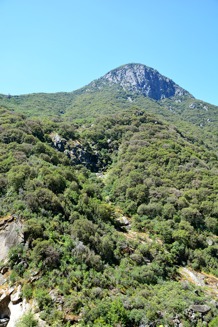 2016-05-19, 008, Ride along Rt 190 & Mtn 50 Sequoia NF