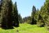 2016-05-19, 014, Ride along Rt 190 & Mtn 50 Sequoia NF