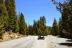 2016-05-19, 015, Ride along Rt 190 & Mtn 50 Sequoia NF