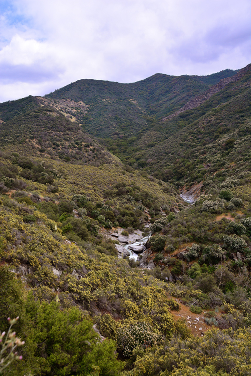 2016-05-22, 007, Sequoia National Park, CA