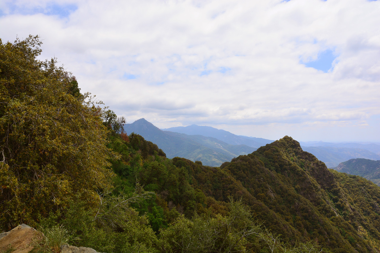 2016-05-22, 010, Sequoia National Park, CA