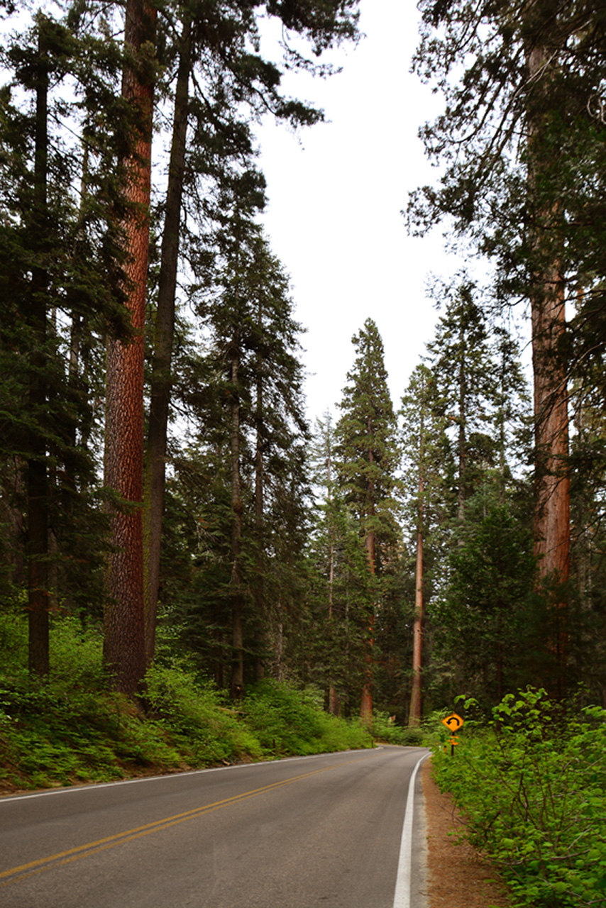 2016-05-22, 011, Sequoia National Park, CA